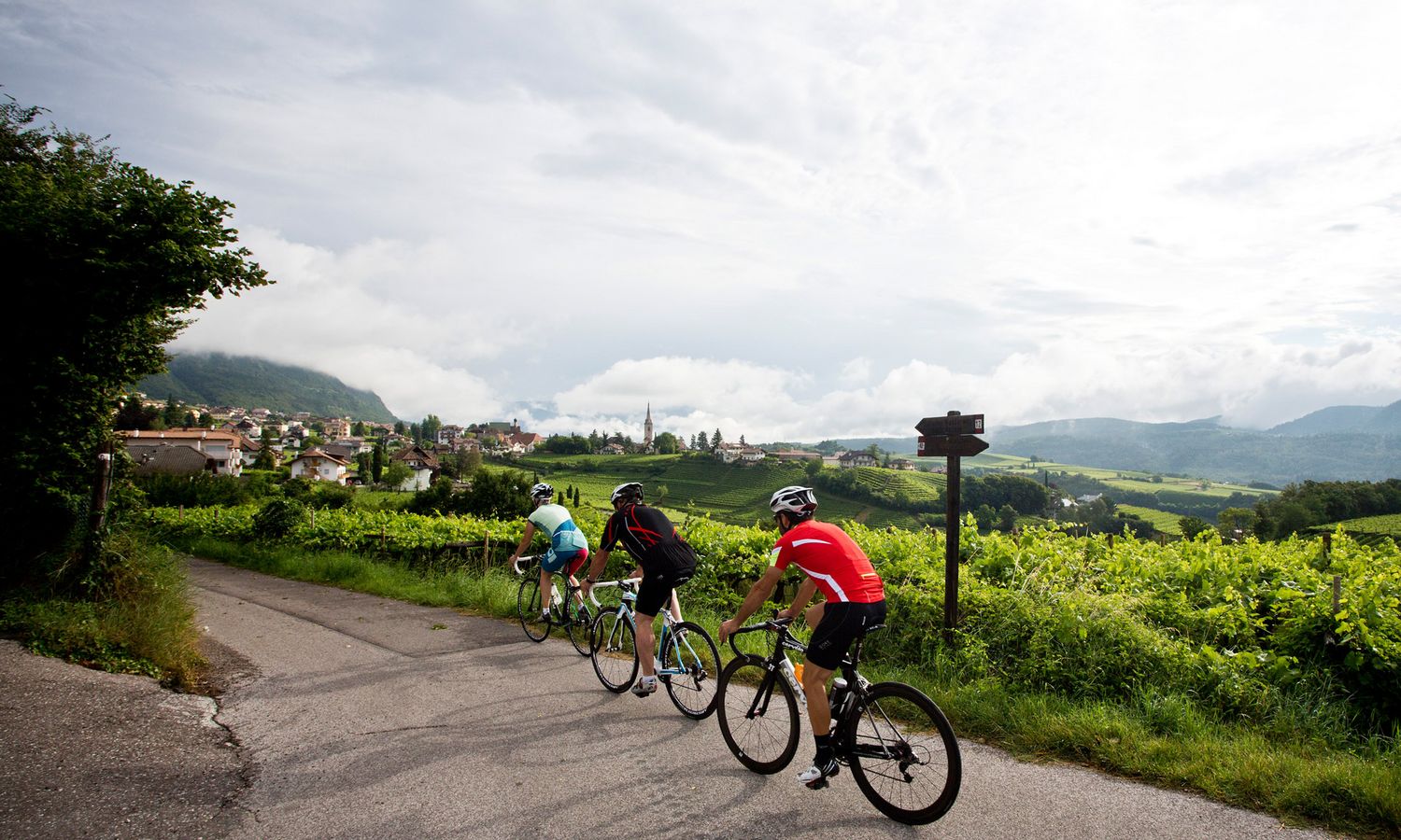 Bikeurlaub in Südtirol - geführte Rennrad-Touren mit Profis