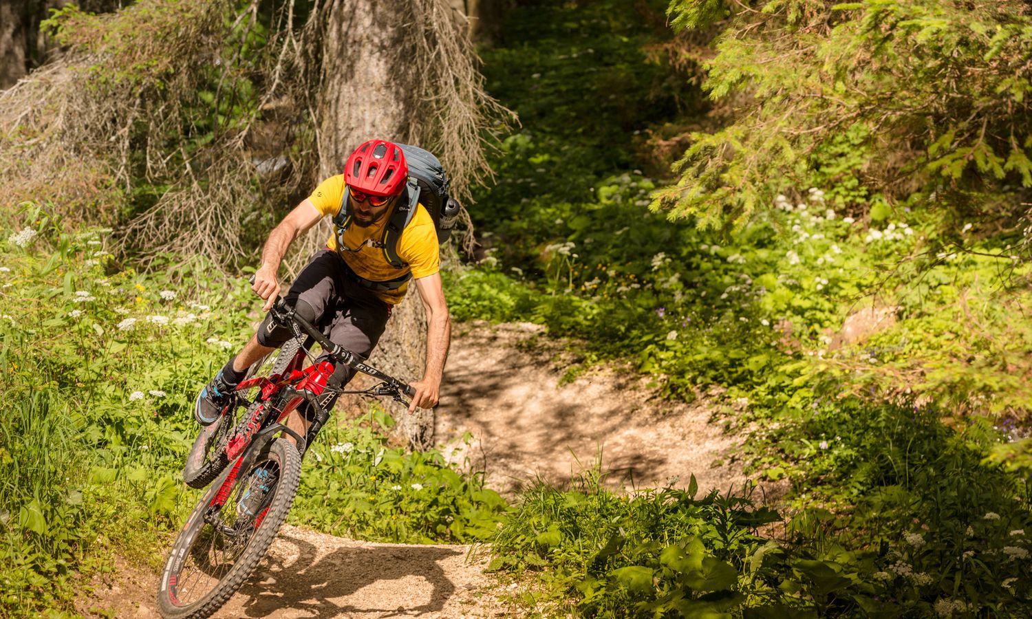 Einfach traumhaft - Mountainbiken in den Dolomiten