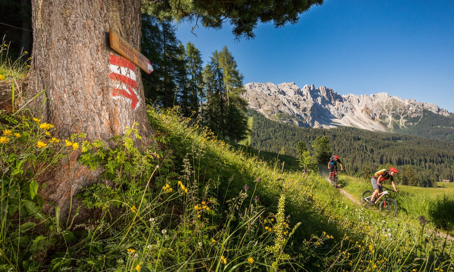 Einfach traumhaft - Mountainbiken in den Dolomiten